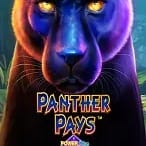 Panther Pays Power Play Jackpot game icon